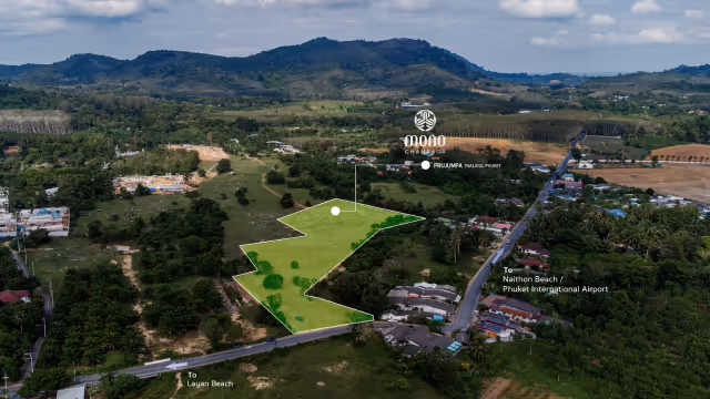 Mono Champaca - wille na Phuket - 2